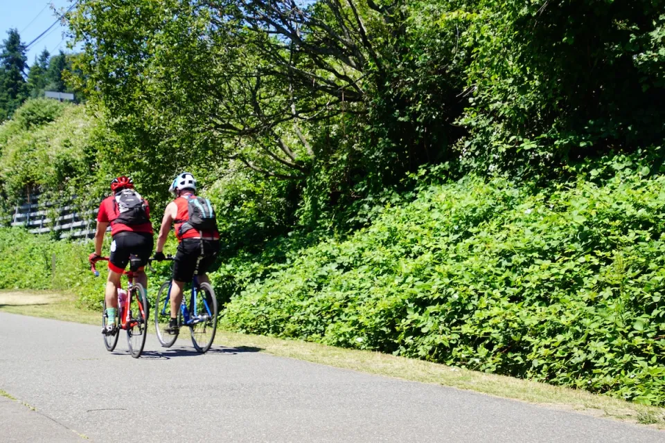 Two people on bikes riding down paved Burke-Gilman bike trail in King County, Washington on a sunny day.